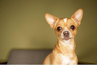 光谱资讯游戏《富甲天下5》Steam商店页面上线 8月10日发售